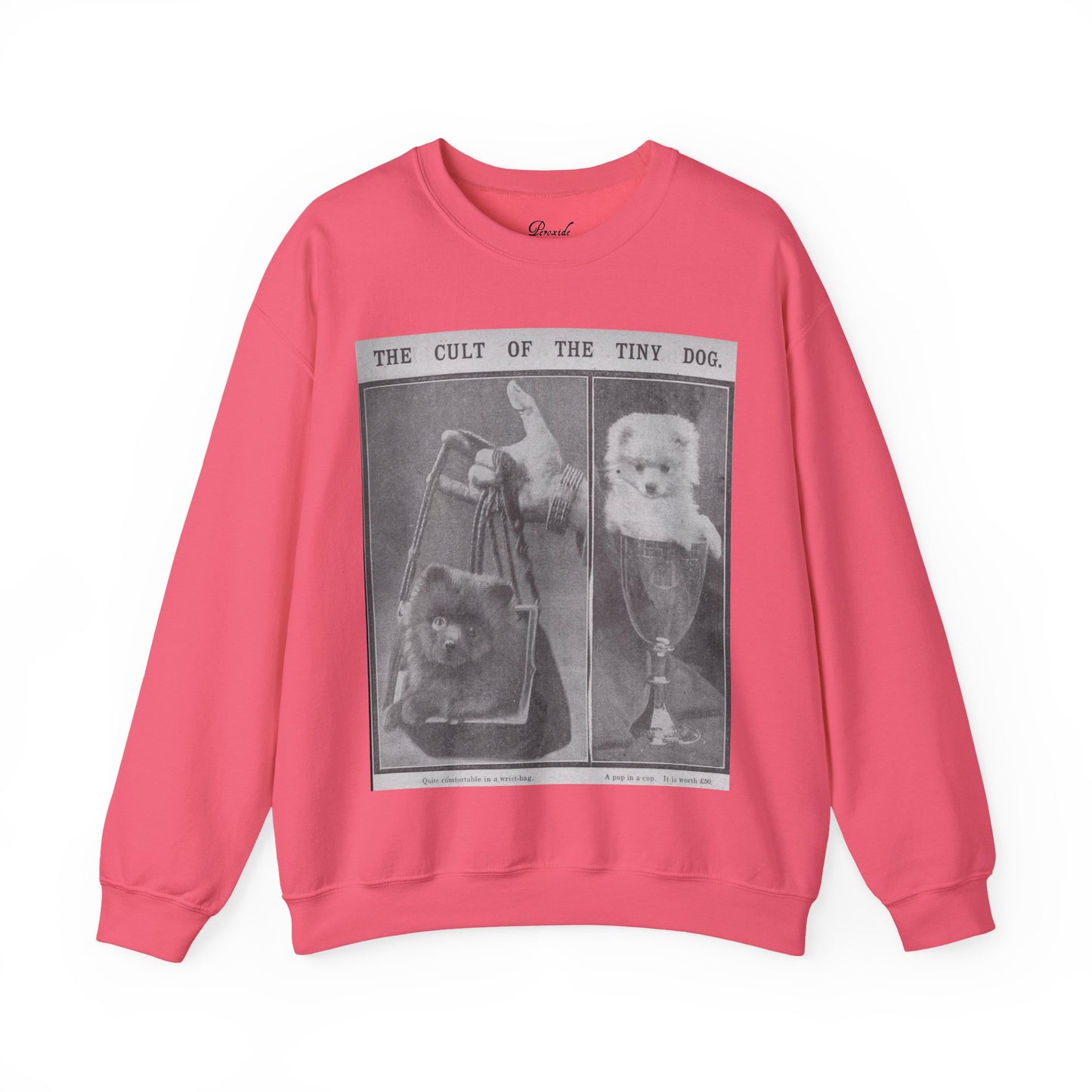 The Cult of the Tiny Dog Sweatshirt