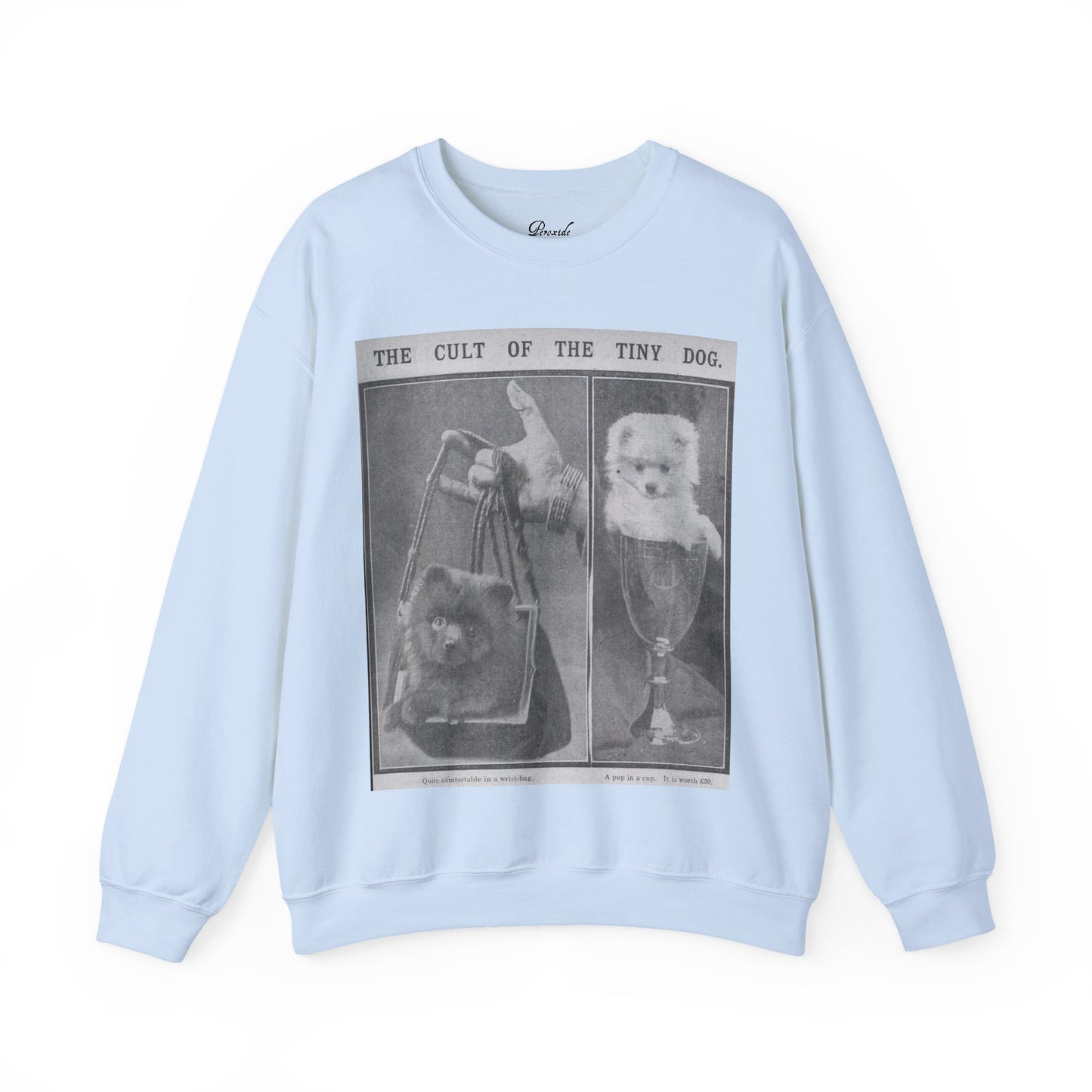 The Cult of the Tiny Dog Sweatshirt