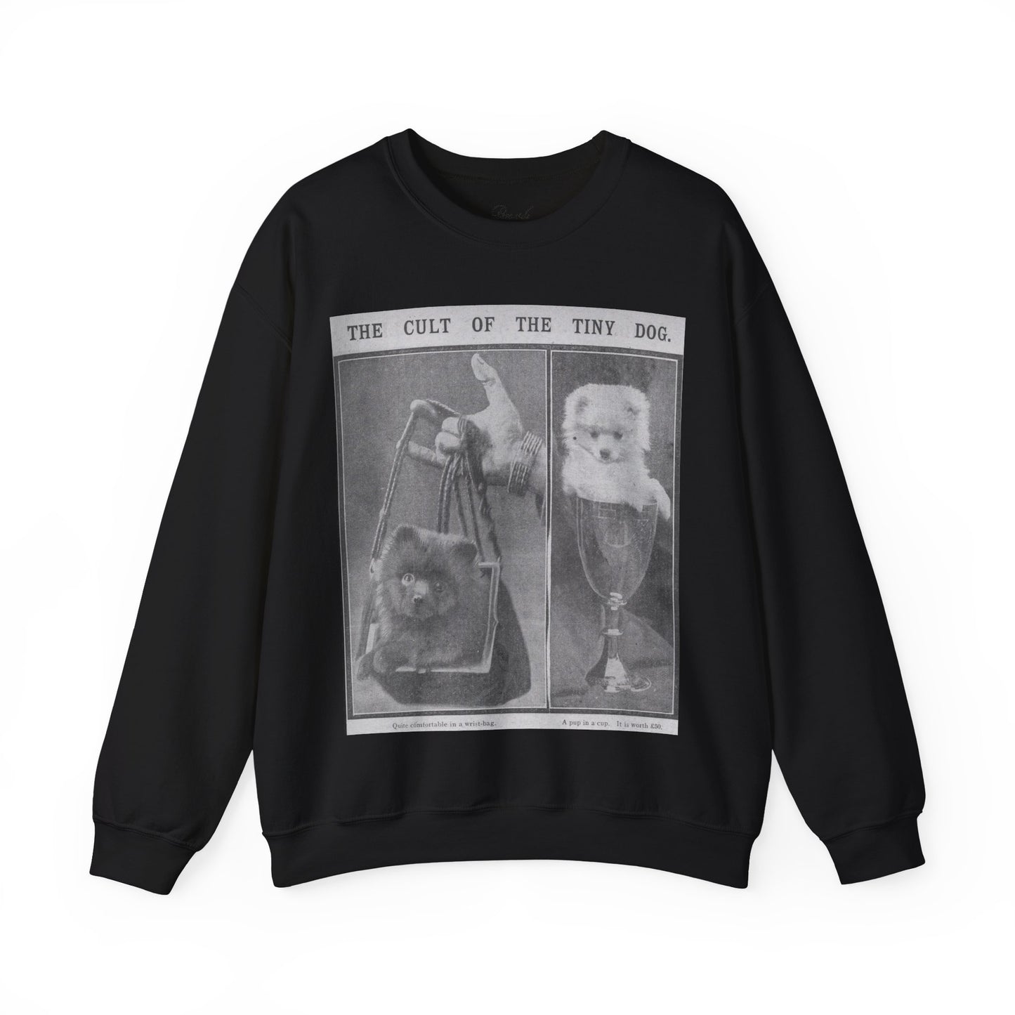 The Cult of the Tiny Dog Sweatshirt