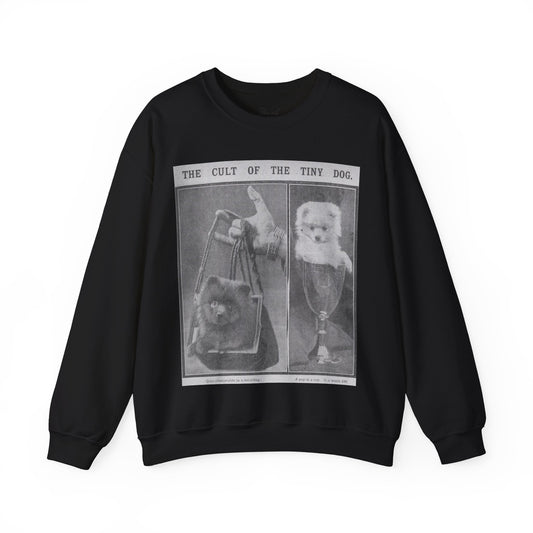 The Cult of the Tiny Dog Sweatshirt
