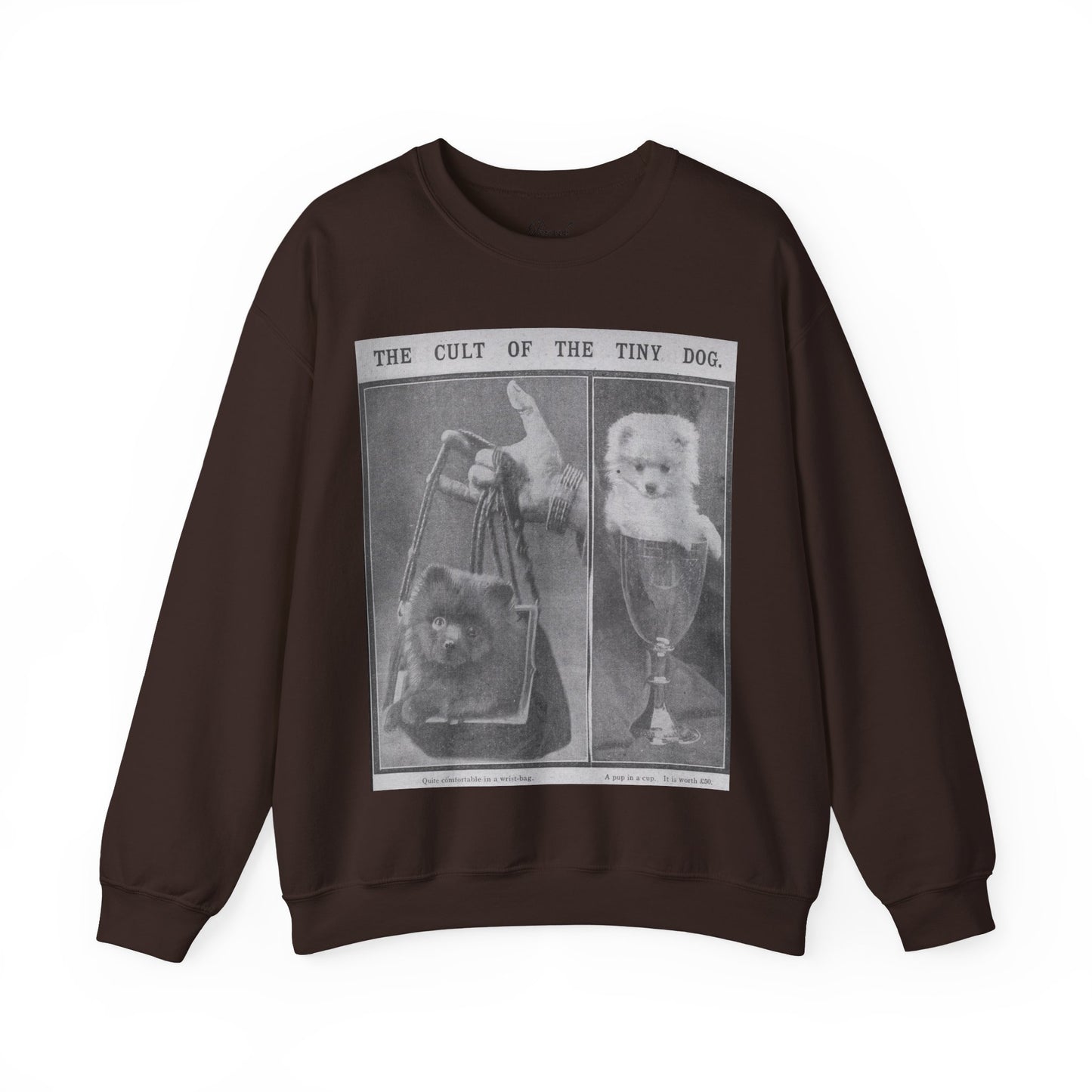The Cult of the Tiny Dog Sweatshirt