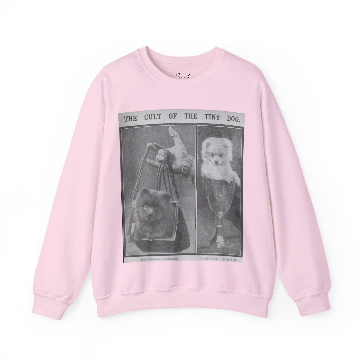 The Cult of the Tiny Dog Sweatshirt