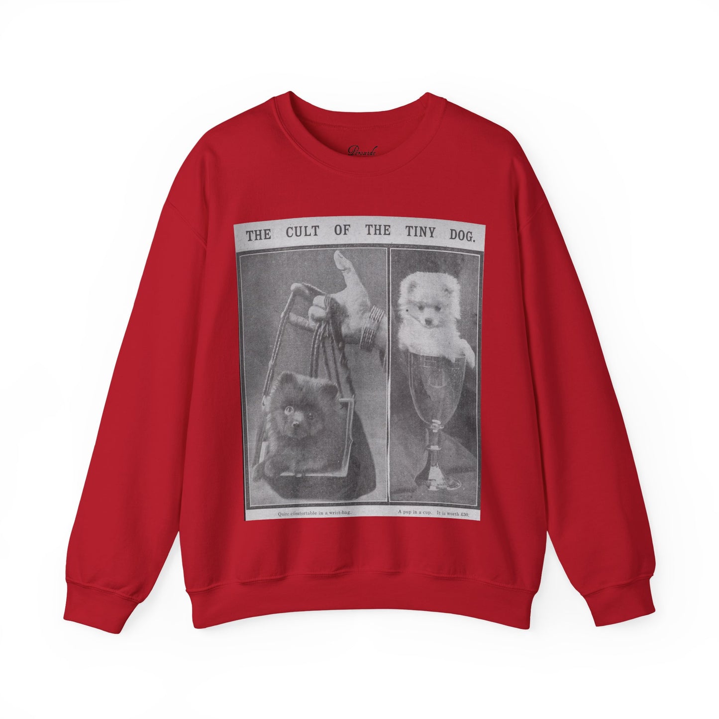 The Cult of the Tiny Dog Sweatshirt