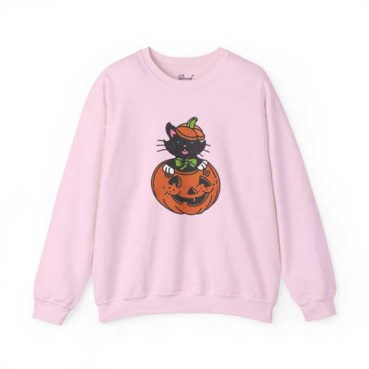 Kitten in a Pumpkin Sweatshirt