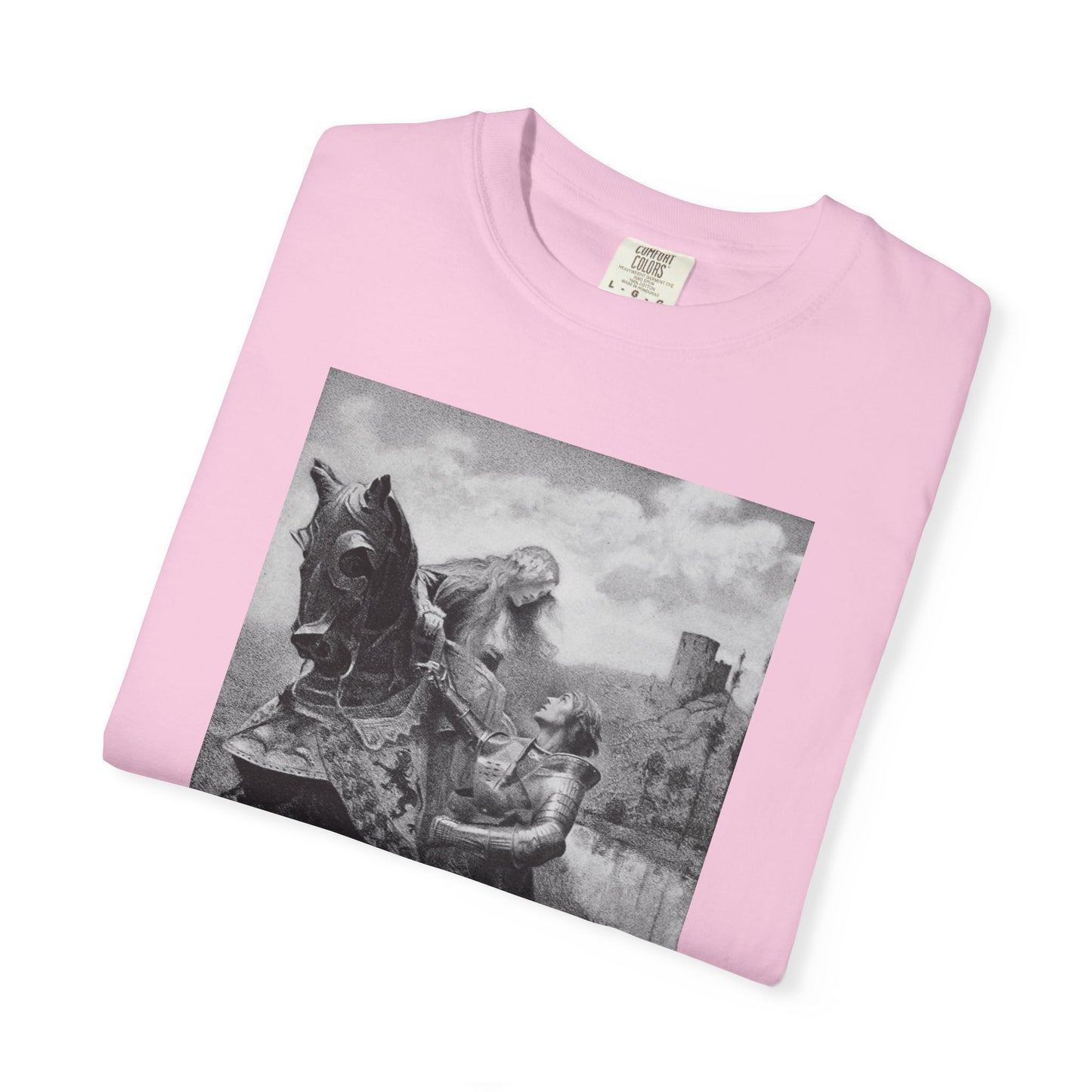 Princess and Knight T-Shirt