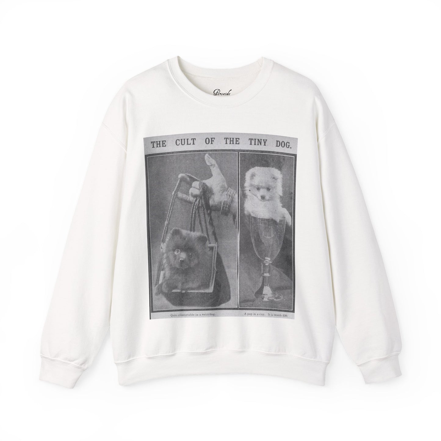 The Cult of the Tiny Dog Sweatshirt