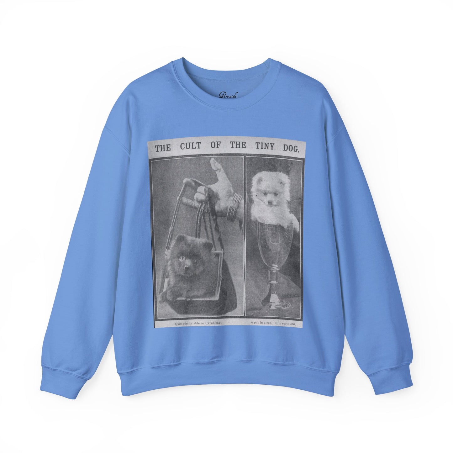 The Cult of the Tiny Dog Sweatshirt