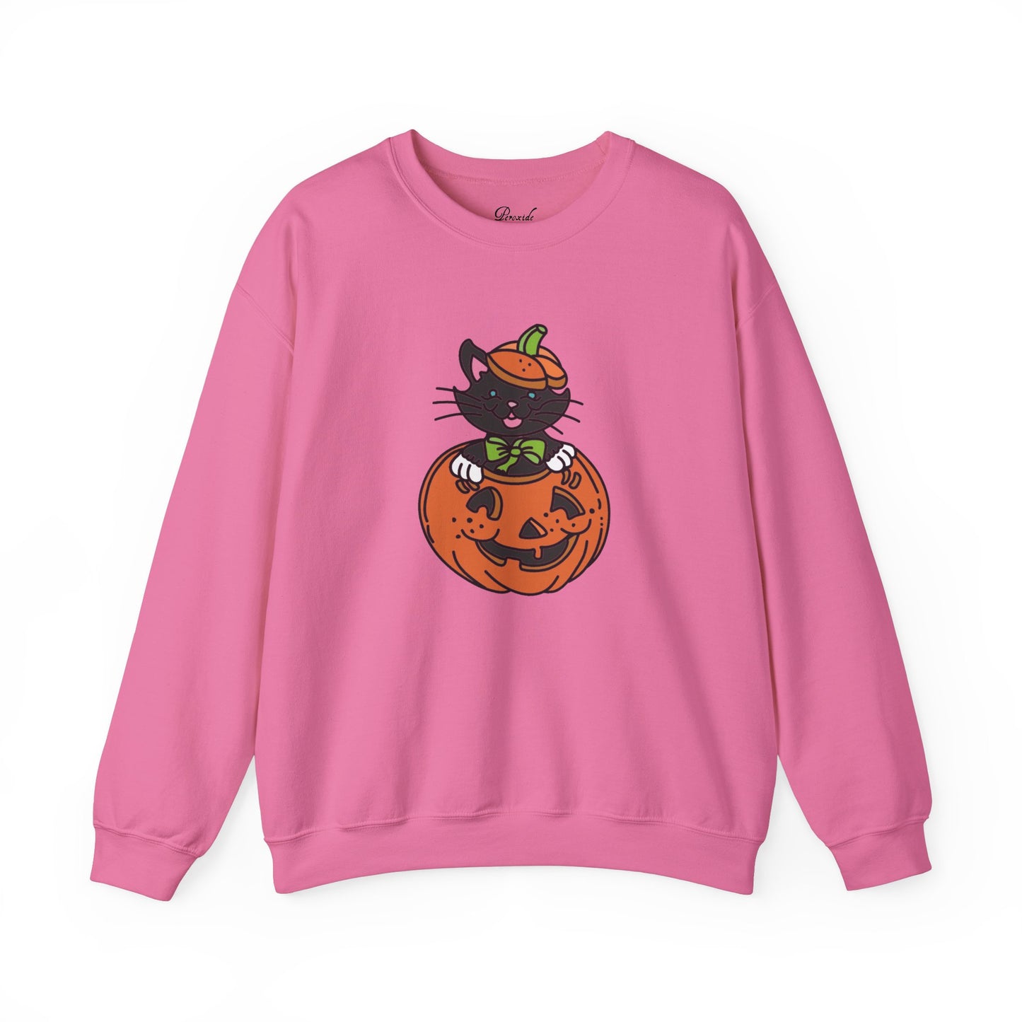 Kitten in a Pumpkin Sweatshirt