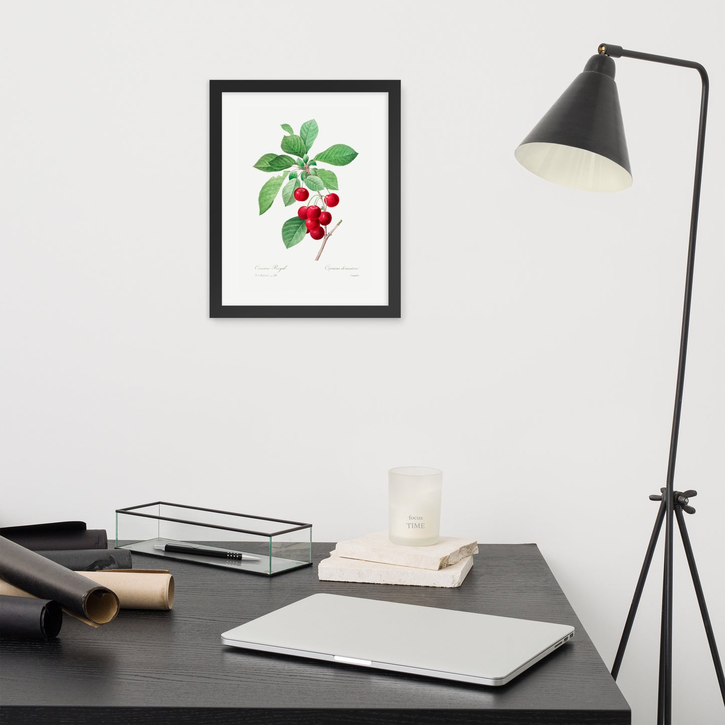 Cherry Botanical Print