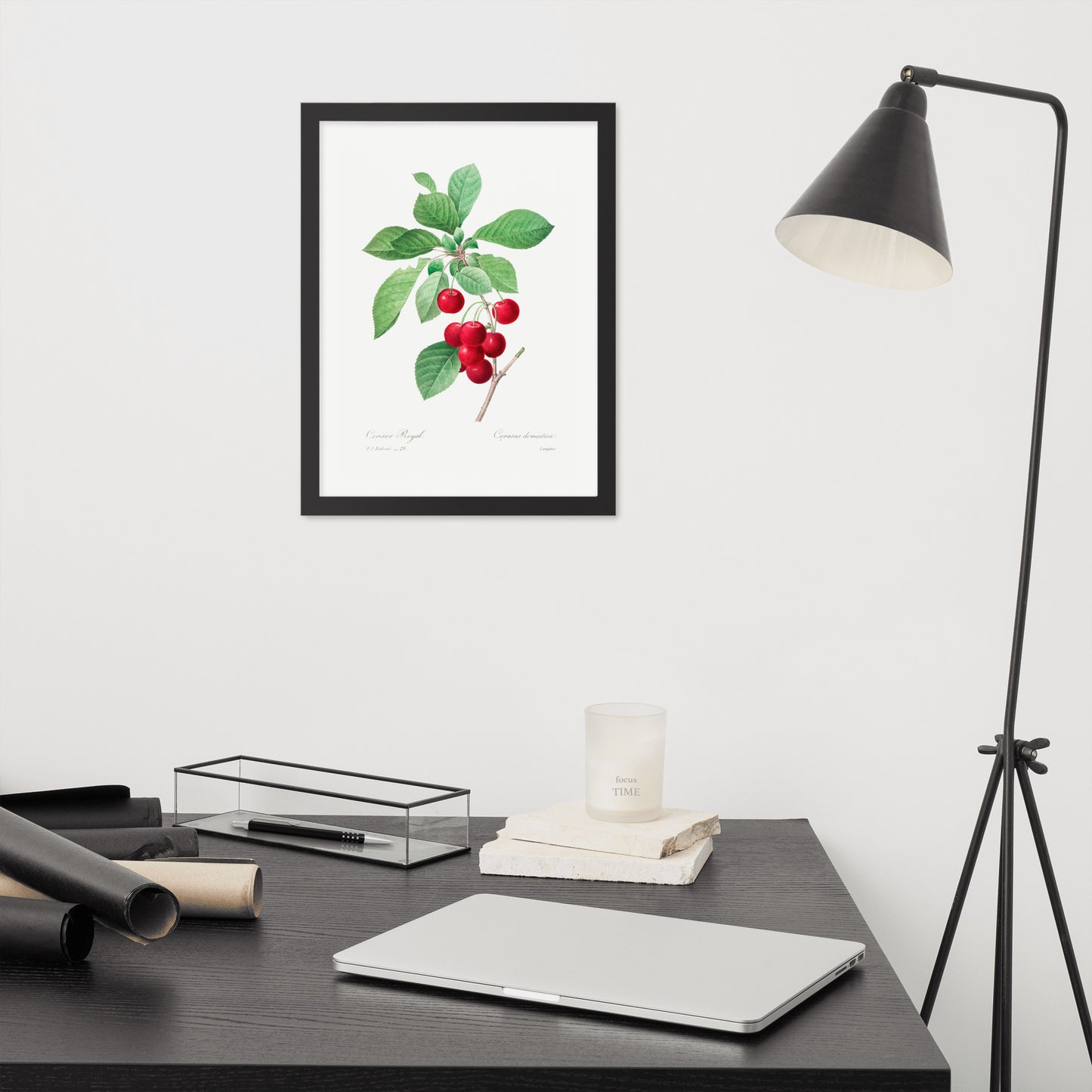 Cherry Botanical Print