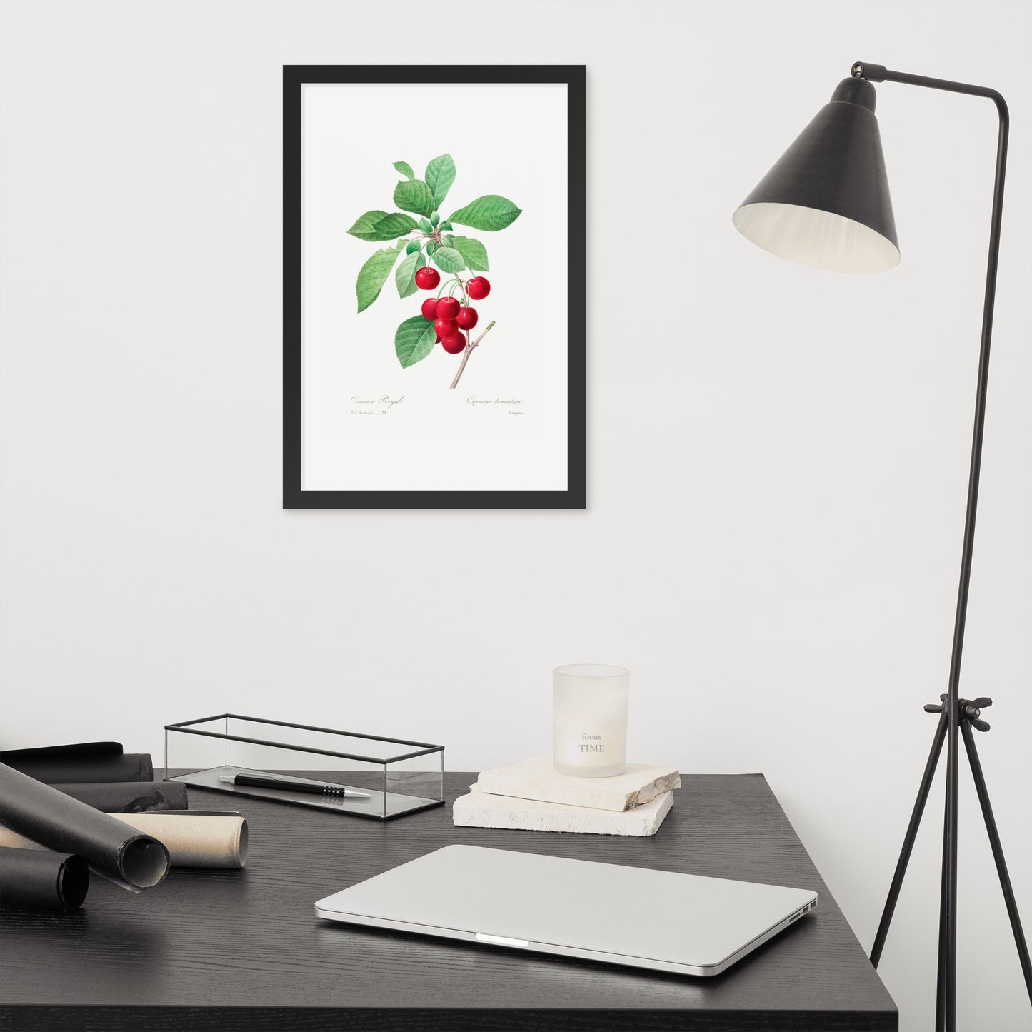 Cherry Botanical Print