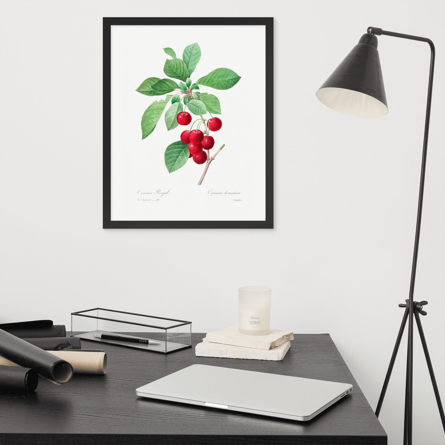 Cherry Botanical Print