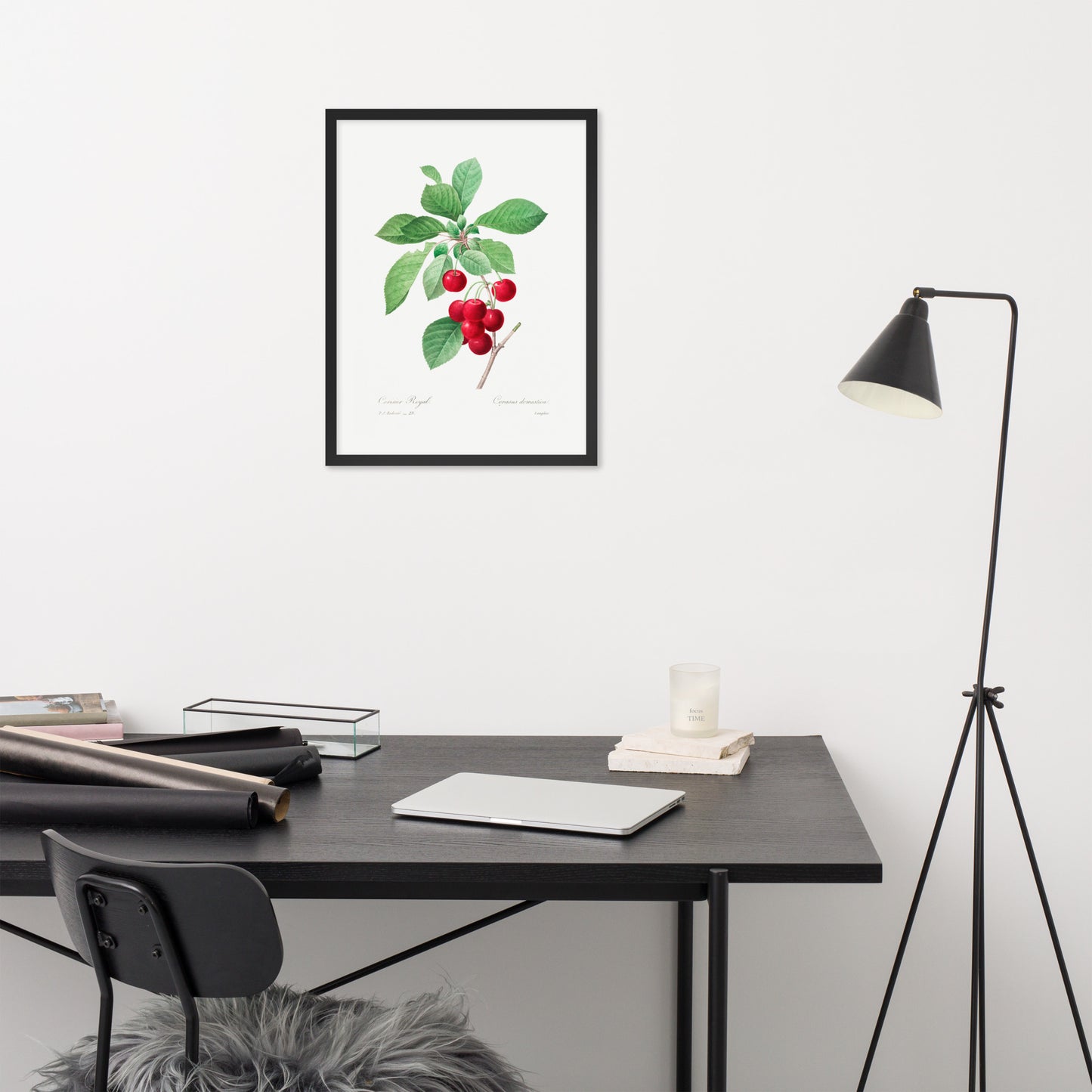 Cherry Botanical Print