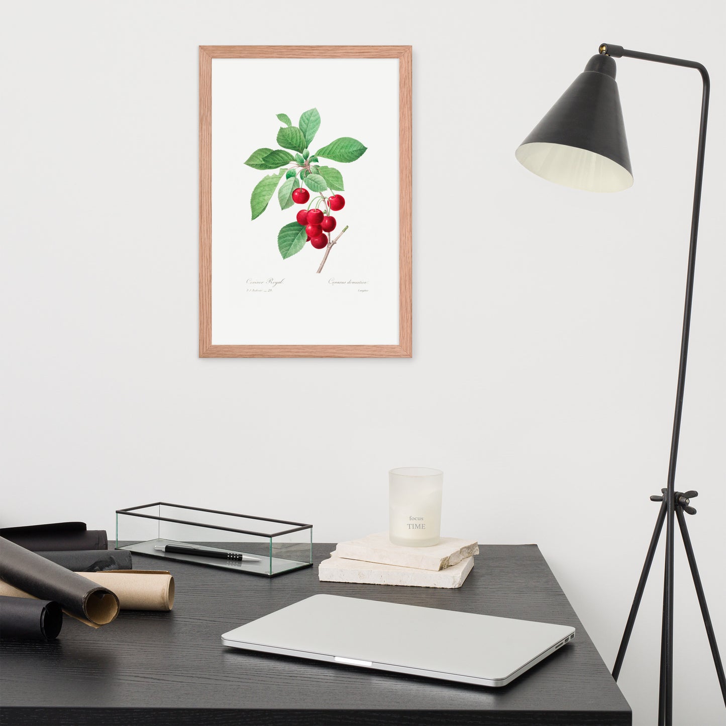 Cherry Botanical Print