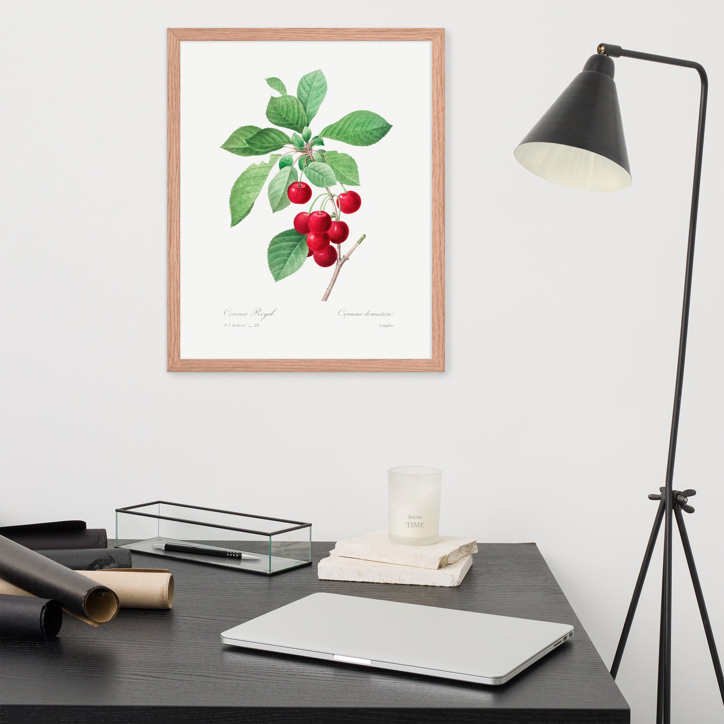 Cherry Botanical Print