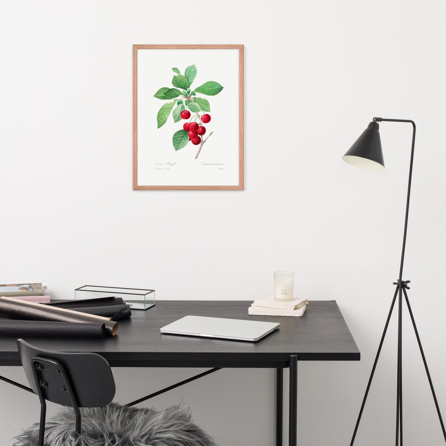 Cherry Botanical Print