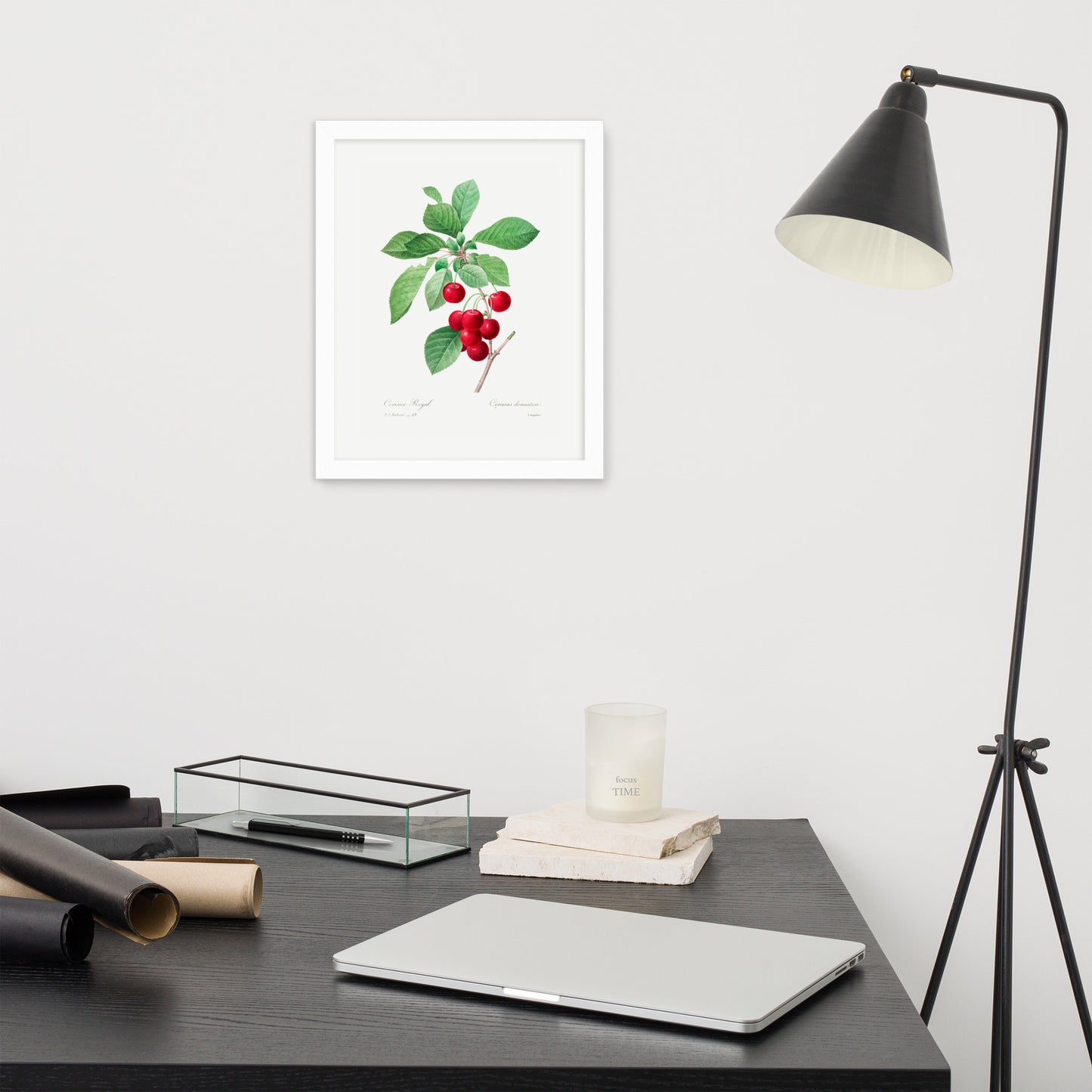 Cherry Botanical Print