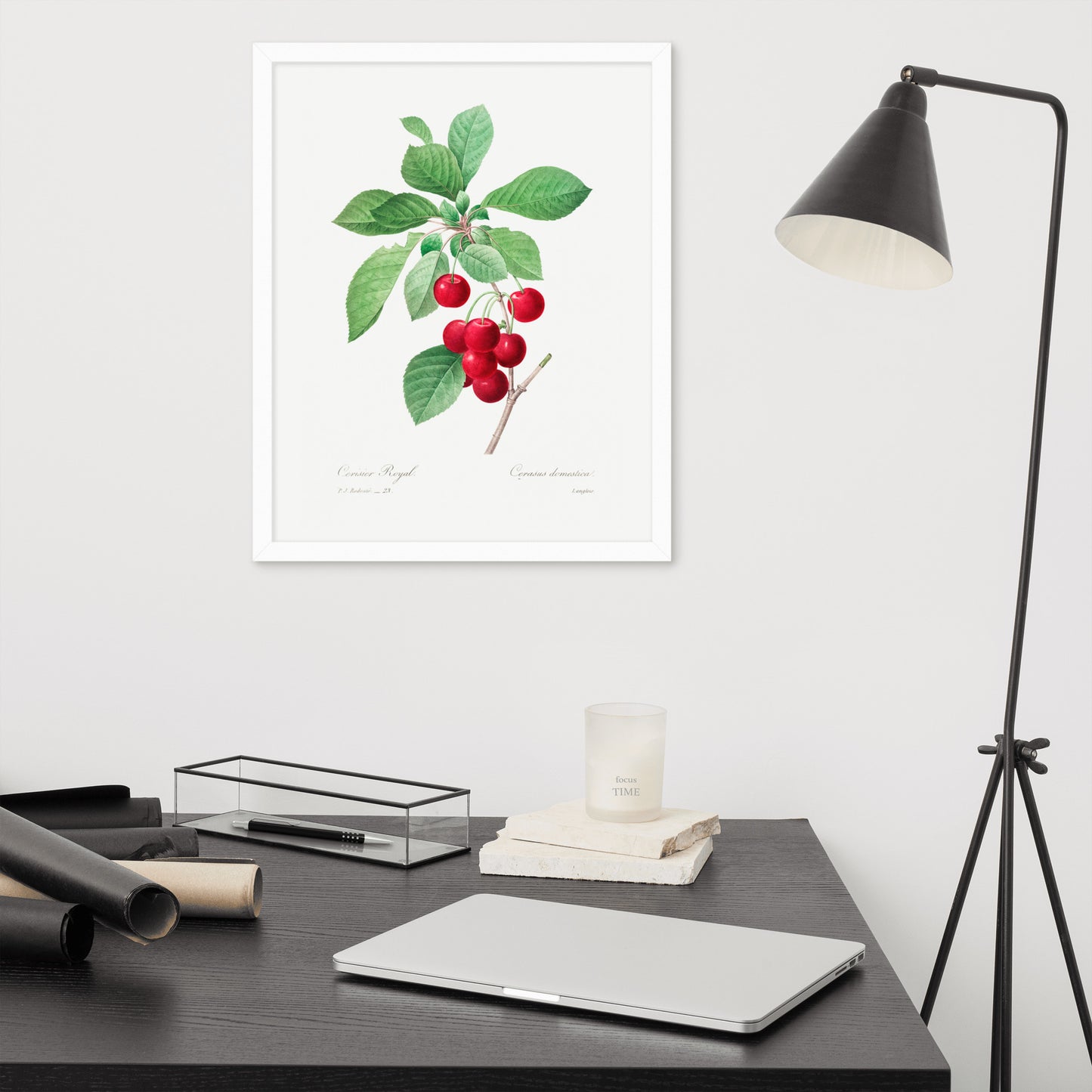 Cherry Botanical Print