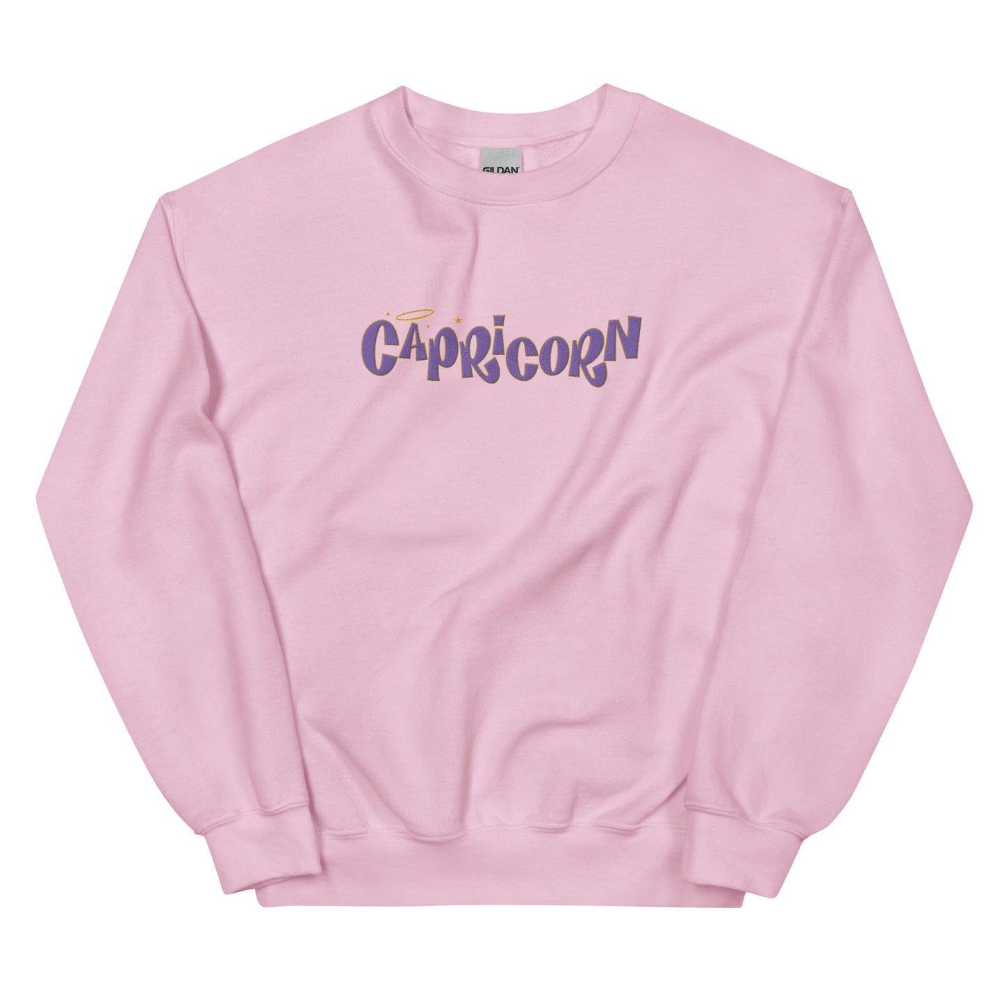 Capricorn Purple Text Embroidered Sweatshirt